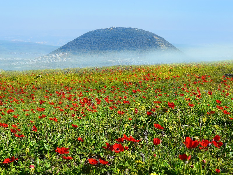 Mount Tabor Shutterstock