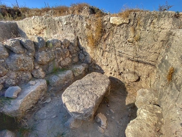 beth shemesh ark
