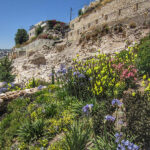 city of david
