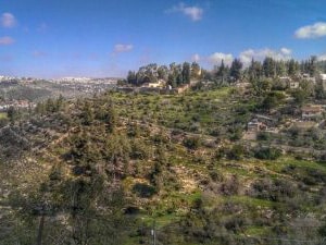 ein karem