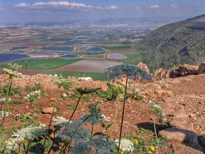 har-saul-panorama