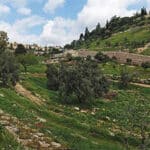 hinnom-valley-michael-browning