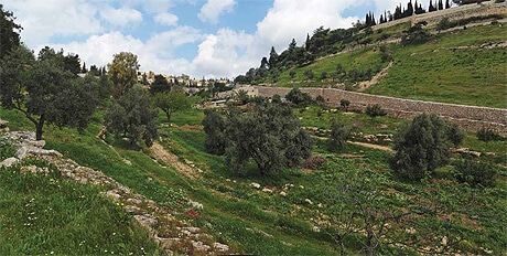 Akeldama, the Field of Blood / Monastery of Onophorius | Danny The Digger