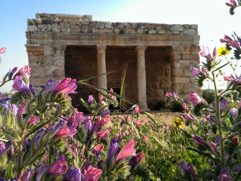 mazor mausoleum 2