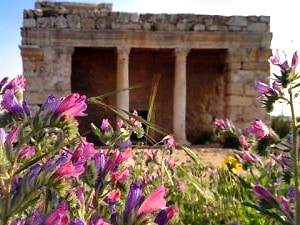 mazor mausoleum