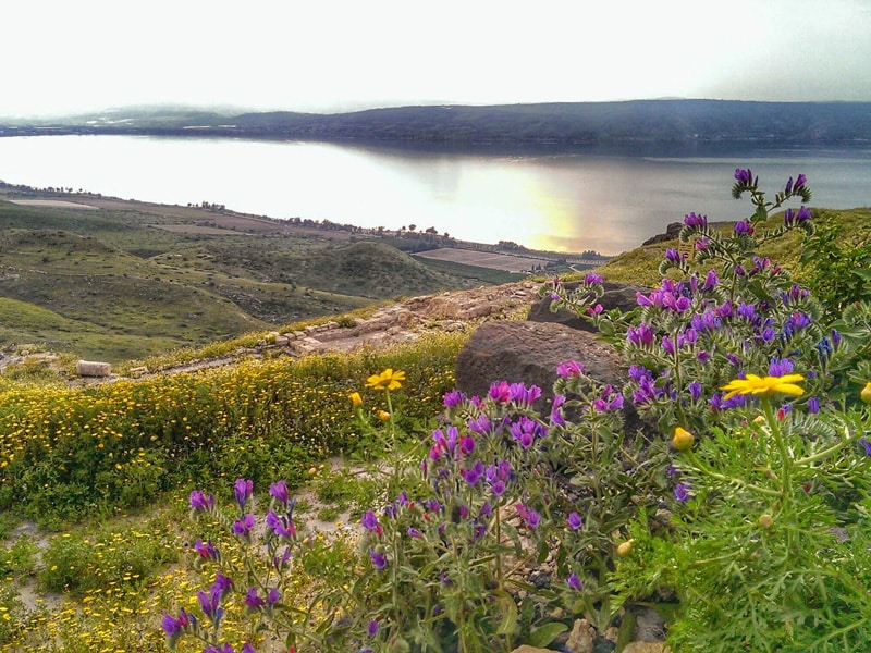 sussita-view-of-the-sea-of-galilee