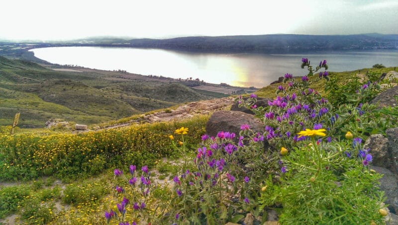 sussita-view-of-the-sea-of-galilee