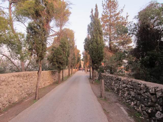 mount-tabor