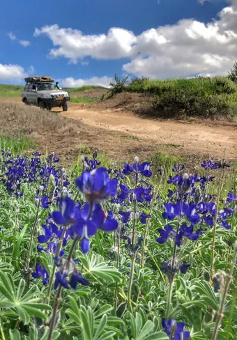 israel off road tour israel off road tour