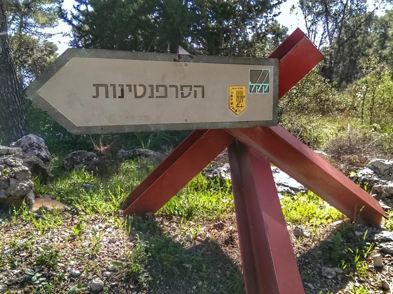 burma road 2