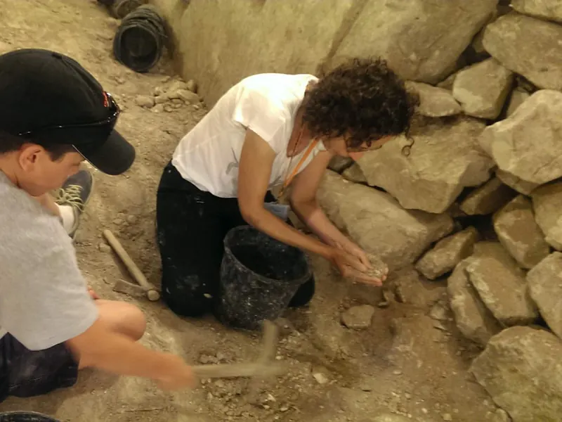 dig-for-a-day-2
