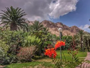ein gedi
