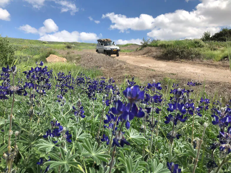 jeep-tour-beit-lehi