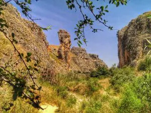 nahal amud