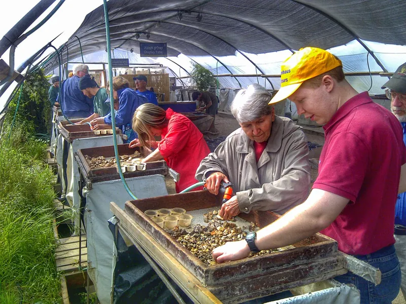 temple-mount-sifting-project